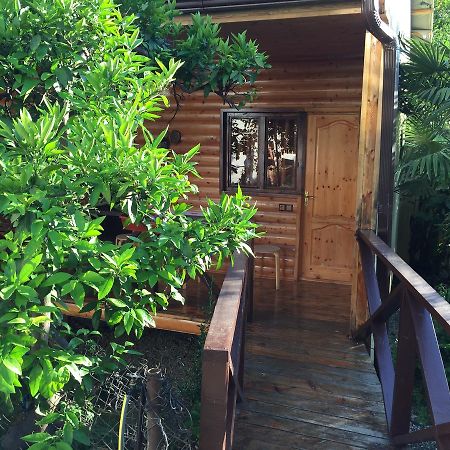 Guest House Nana Gagry Exterior photo