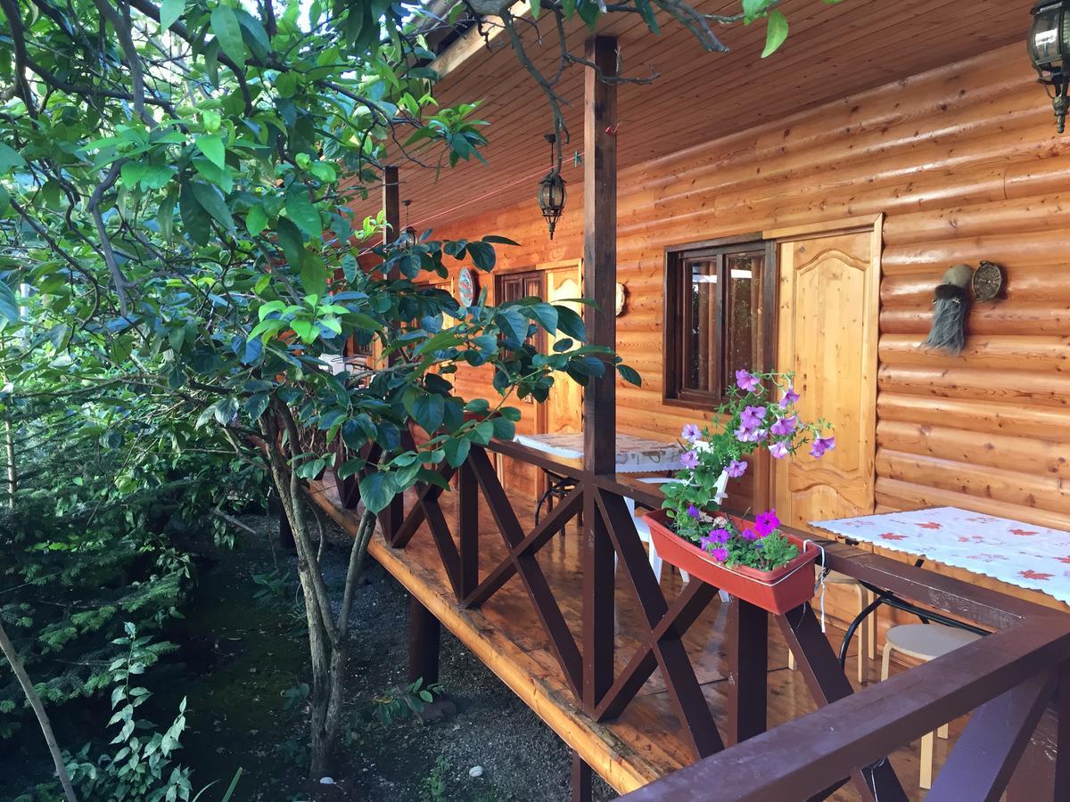 Guest House Nana Gagry Exterior photo