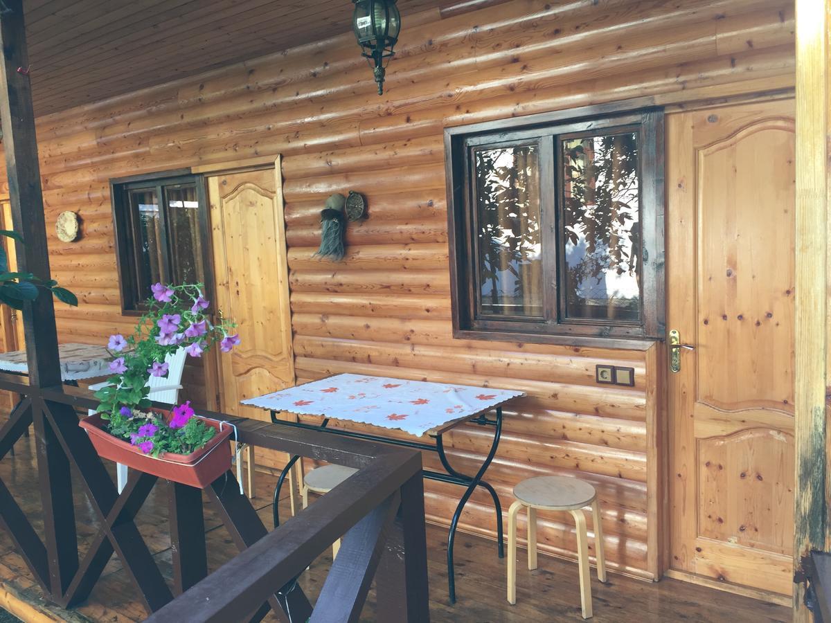 Guest House Nana Gagry Exterior photo